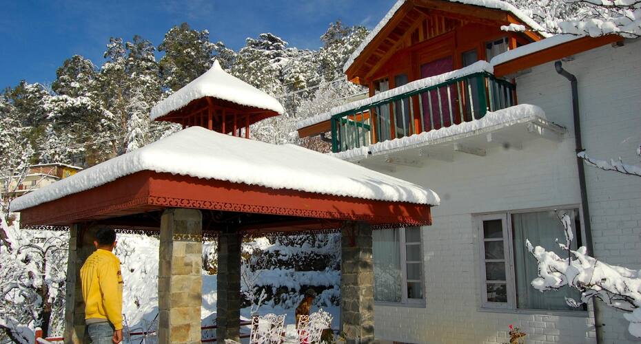 Jacaranda Estate and Whispering Willows, Shimla 3